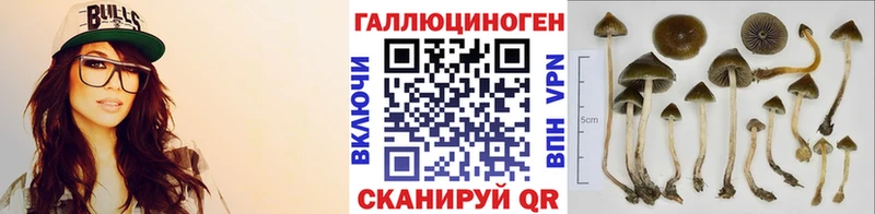 Галлюциногенные грибы Psilocybine cubensis Наволоки